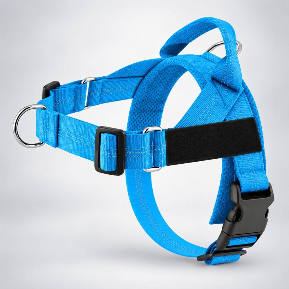 MioPaw™ Personal – Anti-Zieh-Geschirr-Set