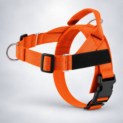 MioPaw™ Personal – Anti-Zieh-Geschirr-Set