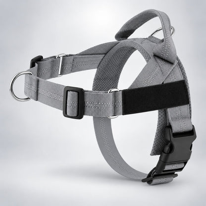 MioPaw™ Personal – Anti-Zieh-Geschirr-Set