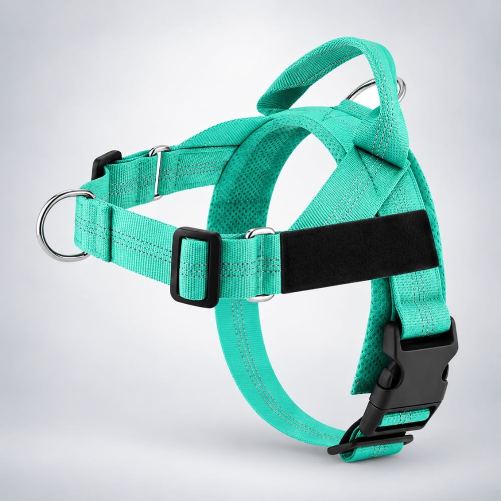 MioPaw™ Personal – Anti-Zieh-Geschirr-Set